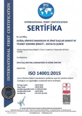 ISO 14001 2019